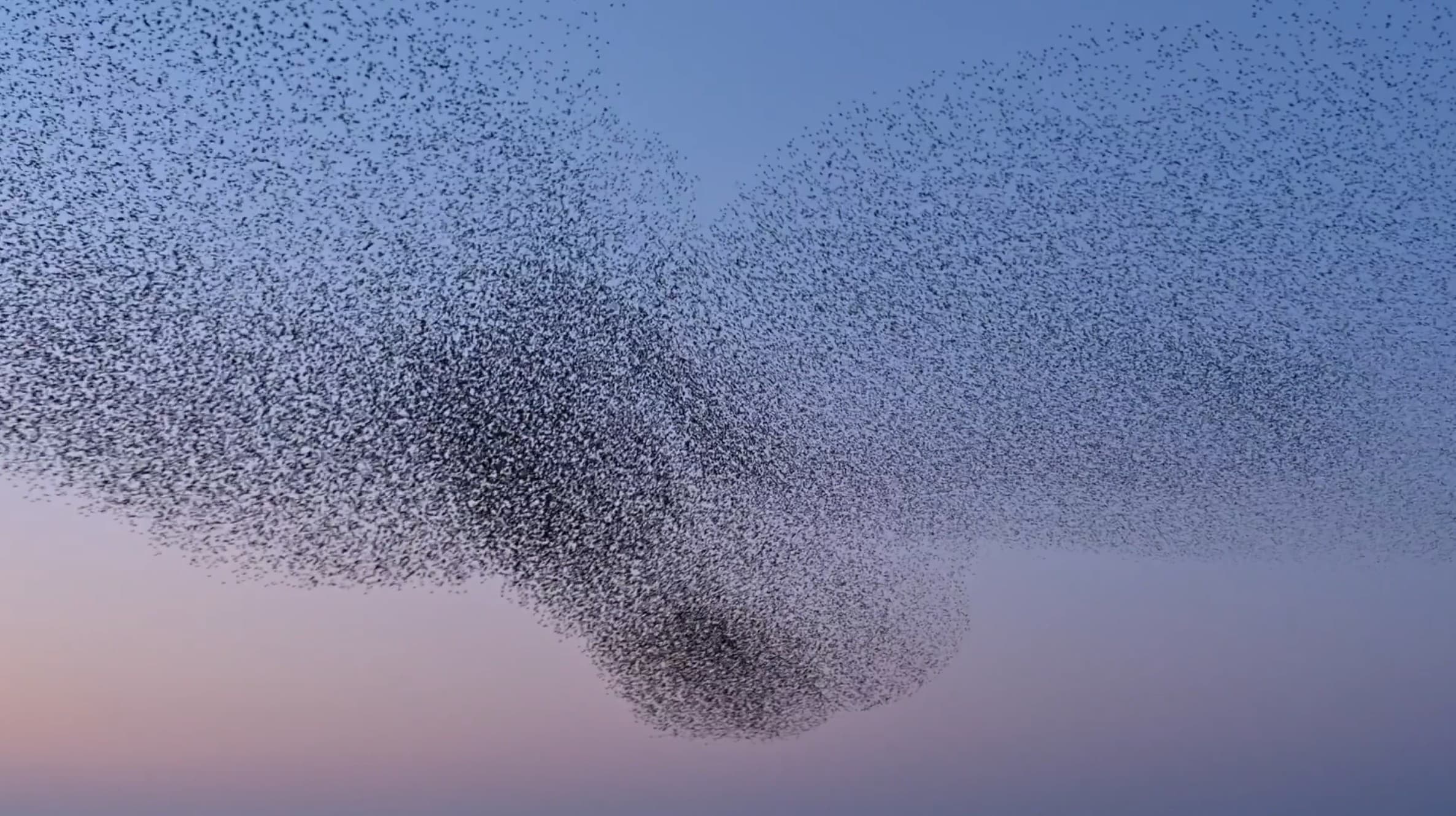 Det som skjer mellom to klikk