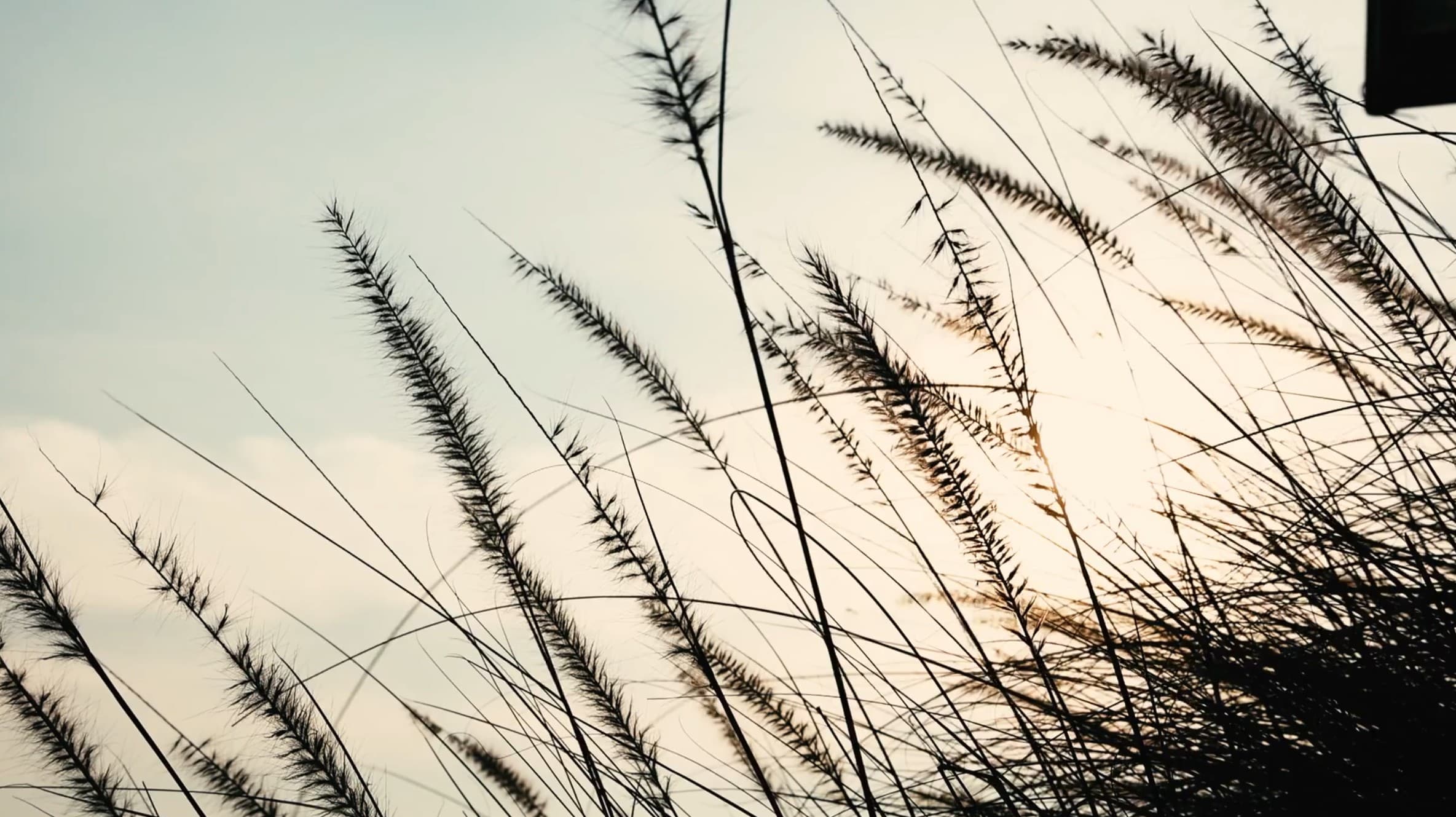 Ett problem om gangen